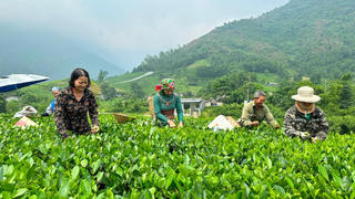 Phát triển các vùng miền bền vững, đồng đều