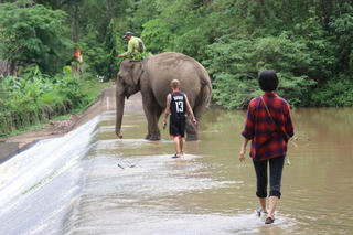 Người chăm voi ở rừng Yok Don