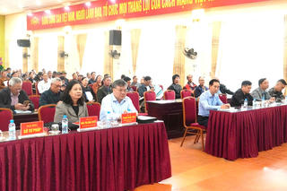 Ninh Bình: Tổ chức Hội nghị tập huấn, bồi dưỡng kỹ năng cho hòa giải viên cơ sở