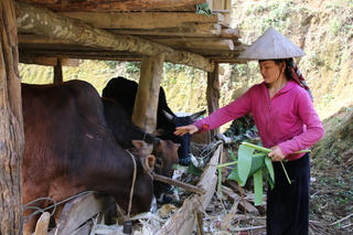 Khởi sắc công tác giảm nghèo ở xã biên giới Phiêng Pằn