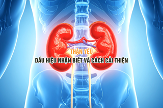 Thận yếu - Dấu hiệu nhận biết và cách cải thiện an toàn, hiệu quả