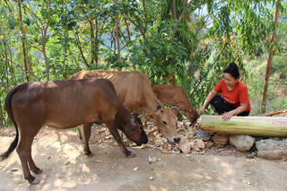 Mường Chiên phát huy tiềm năng thế mạnh để giảm nghèo