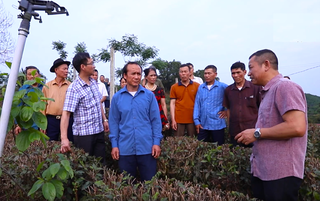 Vai trò của người có uy tín trong đồng bào dân tộc thiểu số tỉnh Thái Nguyên