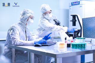VICELLS tiếp cận các hướng nghiên cứu mới trong nuôi cấy tế bào gốc, khẳng định năng lực nghiên cứu chuyên sâu