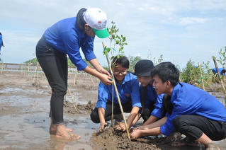 Sơ kết Đề án bảo vệ, phát triển rừng vùng ven biển