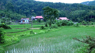 Chợ Mới đổi thay từ những Chương trình Mục tiêu Quốc gia: Hạ tầng khởi sắc, sinh kế vững bền