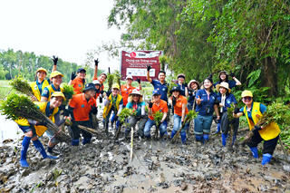 Trồng 62 nghìn cây rừng trong 3 tháng để góp phần giảm thiệt hại thiên tai

