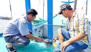 Cà Mau kiên quyết chống khai thác IUU