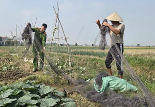 Công an xã Bắc Đông Hưng (tỉnh Hưng Yên) phát động cao điểm vận động Nhân dân giao nộp công cụ khai thác thủy sản trái phép