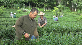 Bảo Yên bứt phá trong giảm nghèo, tạo đà về đích nông thôn mới
