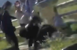 Gia Lai: Nữ sinh lớp 10 bị nhóm học sinh lớp 8 đánh hội đồng