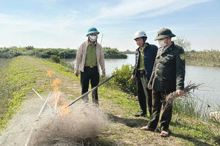 Hưng Yên quyết liệt xử lý, ngăn chặn săn bắt chim hoang dã
