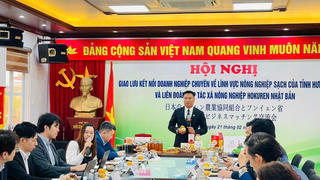 Hưng Yên: Vị ngọt long nhãn và sắc vàng của đất
