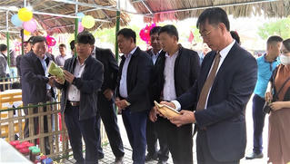 Xã Ninh Châu (Quảng Trị): Vận hành thông suốt chính quyền địa phương hai cấp sau sáp nhập