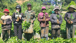 Xã Măng Ri (Quảng Ngãi): Tạo sinh kế bền vững cho người dân vùng cao