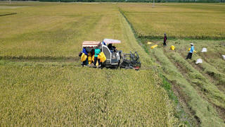 Dấu ấn cuộc hành trình 23 năm của tín dụng chính sách ở An Giang