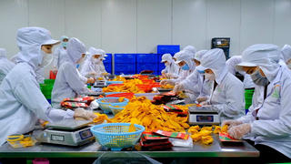 Bộ Tài chính đề xuất làm rõ thuế GTGT với nông sản sơ chế, 'gỡ vướng' hoàn thuế