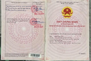 Sự việc bị ngăn cản tiếp cận, sử dụng đất tại Hải Phòng: UBND phường Thủy Nguyên có văn bản trả lời
