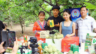 Thái Nguyên đẩy mạnh chuyển đổi số trong lĩnh vực nông nghiệp