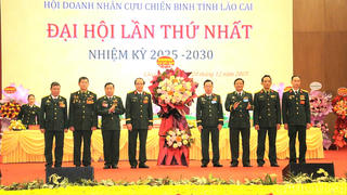 Phát huy vai trò cựu chiến binh trong phát triển kinh tế tỉnh Lào Cai