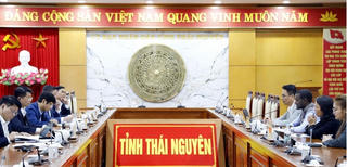 Tỉnh Thái Nguyên và IFAD thống nhất xây dựng kế hoạch hành động, triển khai dự án về phát triển nông thôn