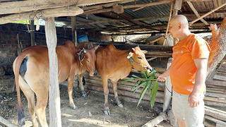 Xã Sa Loong (Quảng Ngãi): Từ chính sách đến sinh kế bền vững