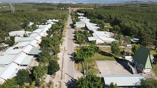 Hỗ trợ bò sinh sản giúp hộ nghèo ở xã Đăk Rơ Wa thoát nghèo