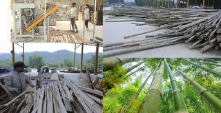 Thanh Hóa: Xã Linh Sơn thúc đẩy chuyển dịch cơ cấu kinh tế tạo cơ sở giảm nghèo 