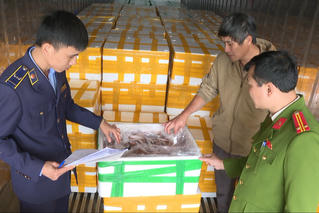 Thanh Hóa thu giữ hơn 10 tấn cá khoai chứa chất cấm formol