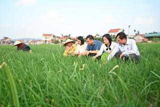 Hải Phòng: Phát huy lợi thế kép trong kết nối nông sản vùng Đồng bằng sông Hồng