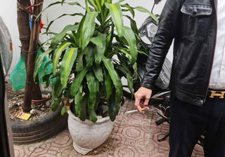 Chất thải từ thuốc lá gây hàng loạt tác hại đến đất, nước và không khí