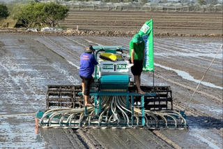 Sơ kết 2 năm Cần Thơ thực hiện Đề án 1 triệu ha lúa chất lượng cao, phát thải thấp: Tạo ra sự thay đổi lớn trong tư duy sản xuất nông nghiệp