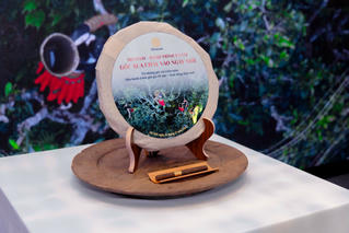 Shanam - Khi gốc xưa không nằm lại trong quá khứ