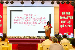 Đồng Nai triển khai các quy định pháp luật về bầu cử