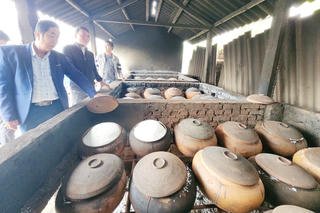 Hướng đi mới sáng tạo của hạt muối Quỳnh Phú

