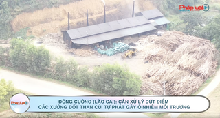 Đông Cuông (Lào Cai): Cần xử lý dứt điểm các xưởng đốt than củi tự phát gây ô nhiễm môi trường