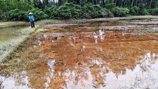 Khẩn trương làm rõ nguyên nhân, xử lý sự cố dầu tràn ở Quảng Ngãi