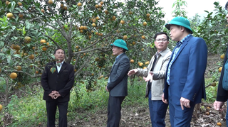 Xã Xuân Hoà - Lào Cai: Huy động, sử dụng hiệu quả các nguồn lực cho công tác giảm nghèo