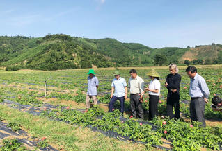 Bứt phá giảm nghèo nhờ xây dựng nông thôn mới