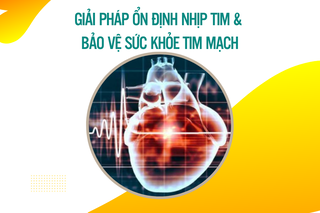 Giữ đều “nhịp đèn giao thông” – giải pháp ổn định nhịp tim và bảo vệ sức khỏe tim mạch