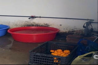 Kiểm tra bếp cung cấp suất ăn học sinh của Công ty Nhật Anh, công an phát hiện loạt vi phạm