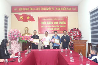 Lao xuống kênh cứu người, ba người đàn ông Quảng Trị được khen thưởng