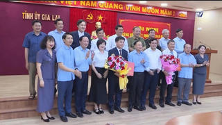 Điều động, chỉ định cán bộ chủ chốt tại Gia Lai và Quảng Ngãi