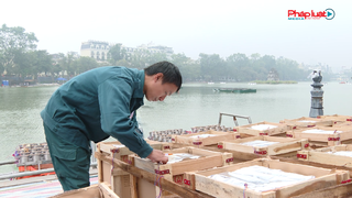 Phía sau hạnh phúc đêm giao thừa của nhân dân