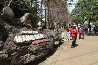 Du lịch Quảng Ngãi 'bội thu' Tết Dương lịch 2026