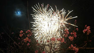 Măng Đen rực rỡ sắc xuân trong Tuần văn hóa - du lịch 2026