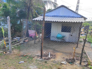 Cà Mau: Chiếm đất trái phép bị xử phạt hơn 100 triệu đồng