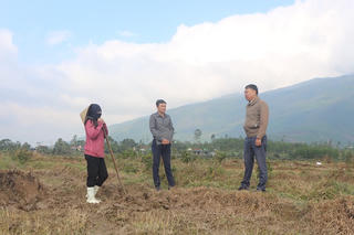 Cánh đồng ở Quảng Trị cỏ cháy vàng, cơ quan chuyên môn lưu ý về việc sử dụng thuốc diệt cỏ