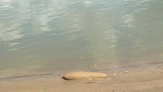 Tuyên Quang: Hủy nổ an toàn quả bom nặng 70kg