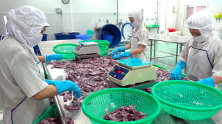 Lộ trình truy xuất nguồn gốc nông, lâm, thủy sản đến năm 2035